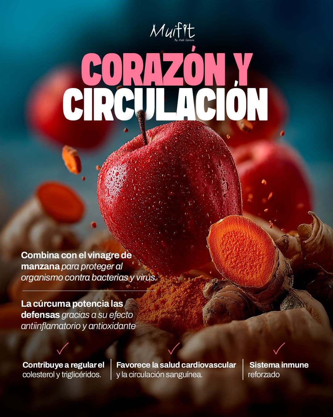 VINFIT CURCUMA 7
