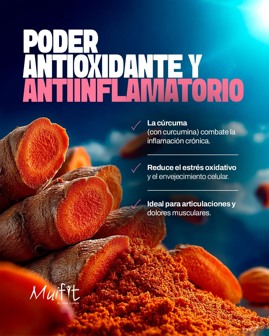 VINFIT CURCUMA 6